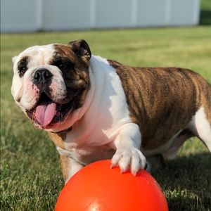 Meet your Posher, Theresa